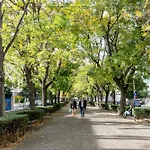 Laros Dimora Dorica Ancona